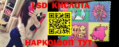 мяу мяу мука Жуковский