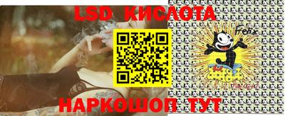 прущие грибы Заводоуковск