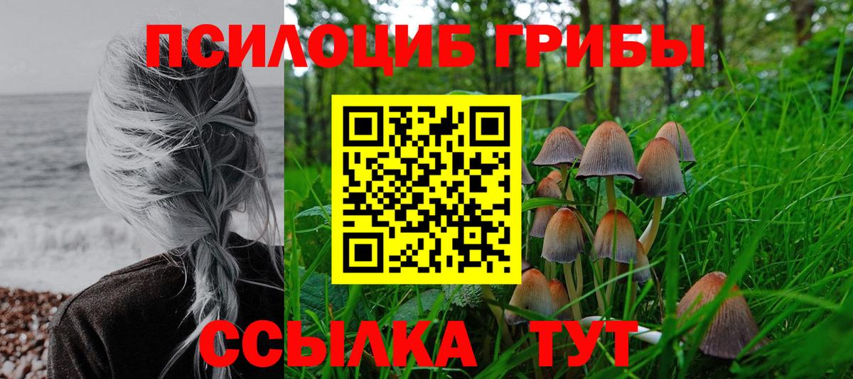 Псилоцибиновые грибы MAGIC MUSHROOMS  Вход с VPN  Людиново  Галлюциногенные грибы Cubensis 